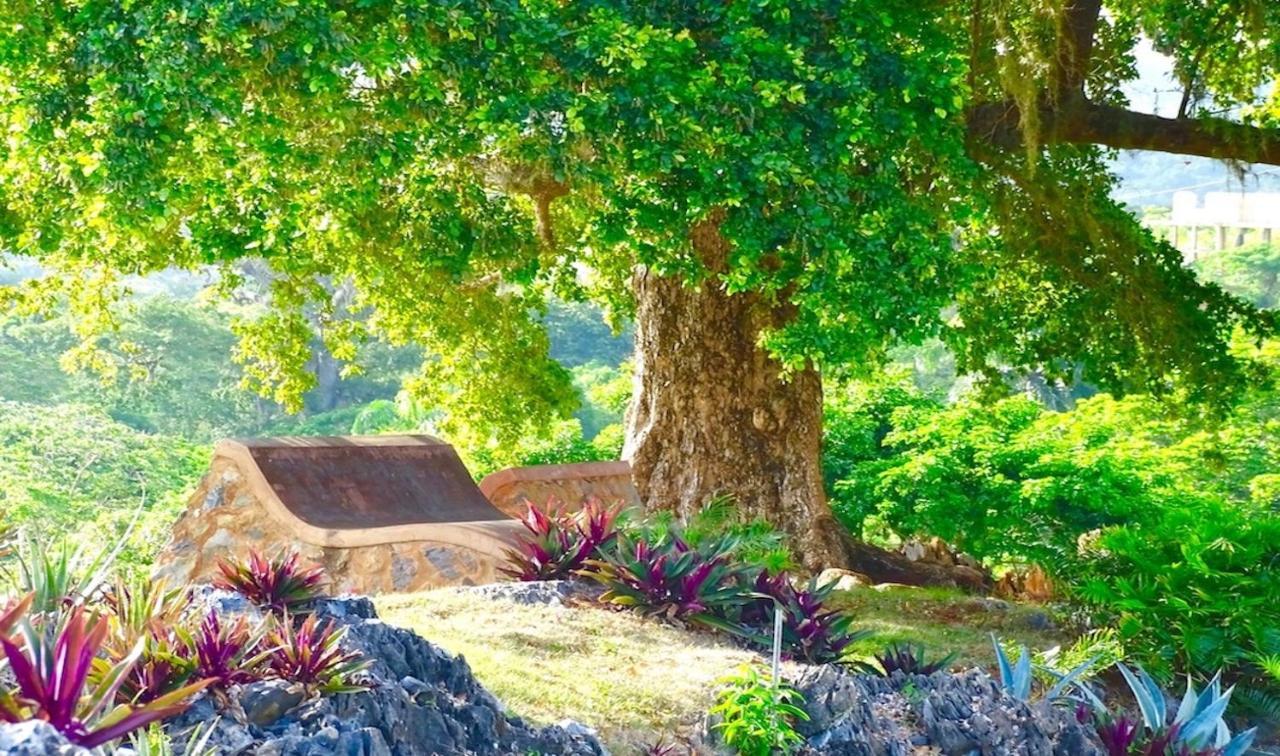 Las Galeras Village Ecolodge Ngoại thất bức ảnh
